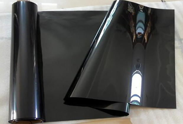 ��������Ĥ