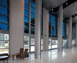 ��������Ĥ