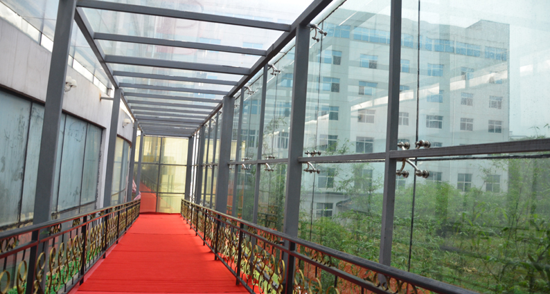 �������¥����