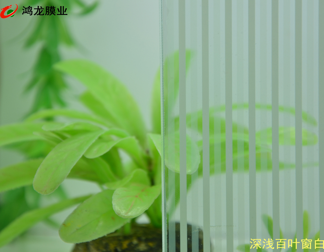 ����װ����ǳ��Ҷ����