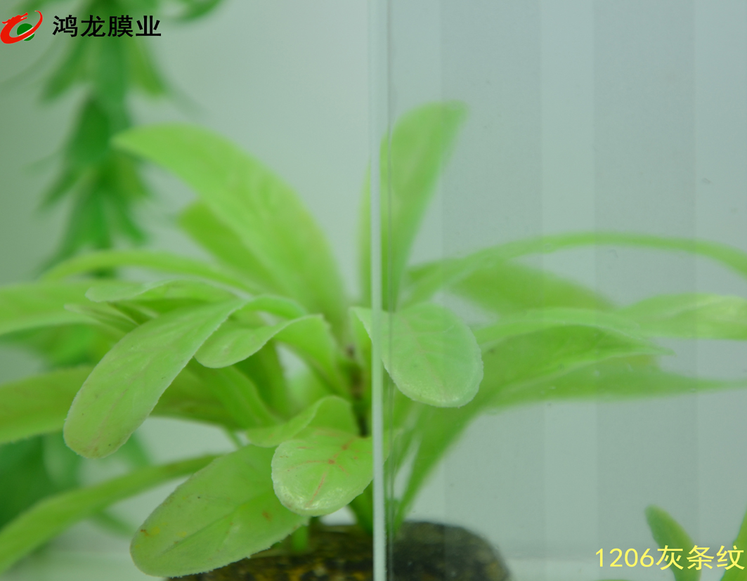 ����װ��1206������